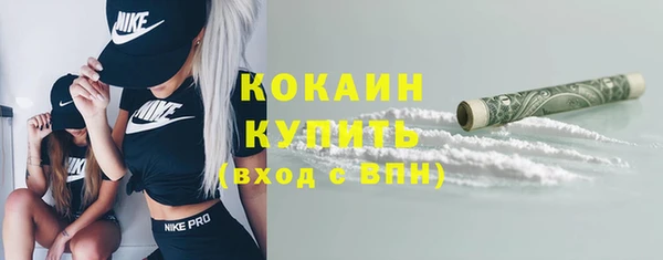 прущие грибы Вязники