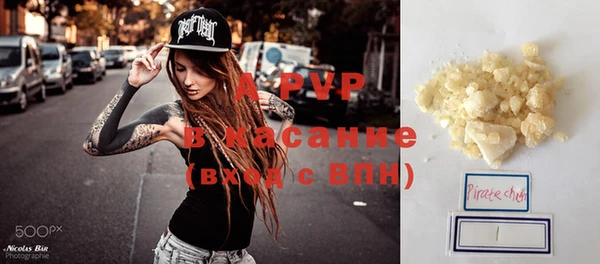 прущие грибы Вязники