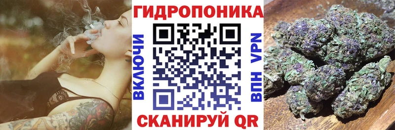 Конопля VHQ  Купить  Озёры 